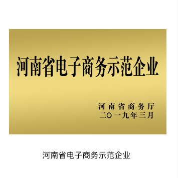 河南省电子商务示范企业